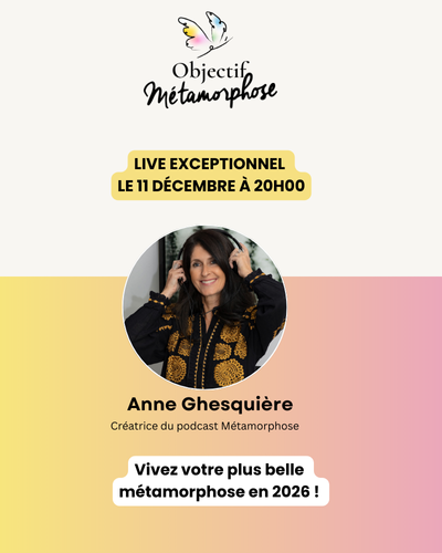 Bannière-site-obj-meta-dec-25 (1)