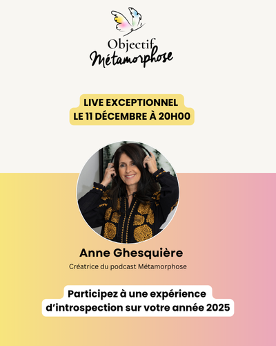 Bannière-site-obj-meta-dec-25